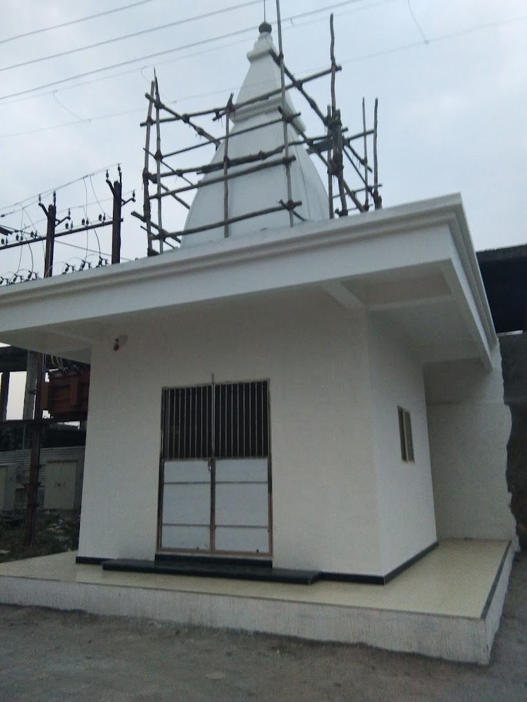 Properties in Bhopal - The Company