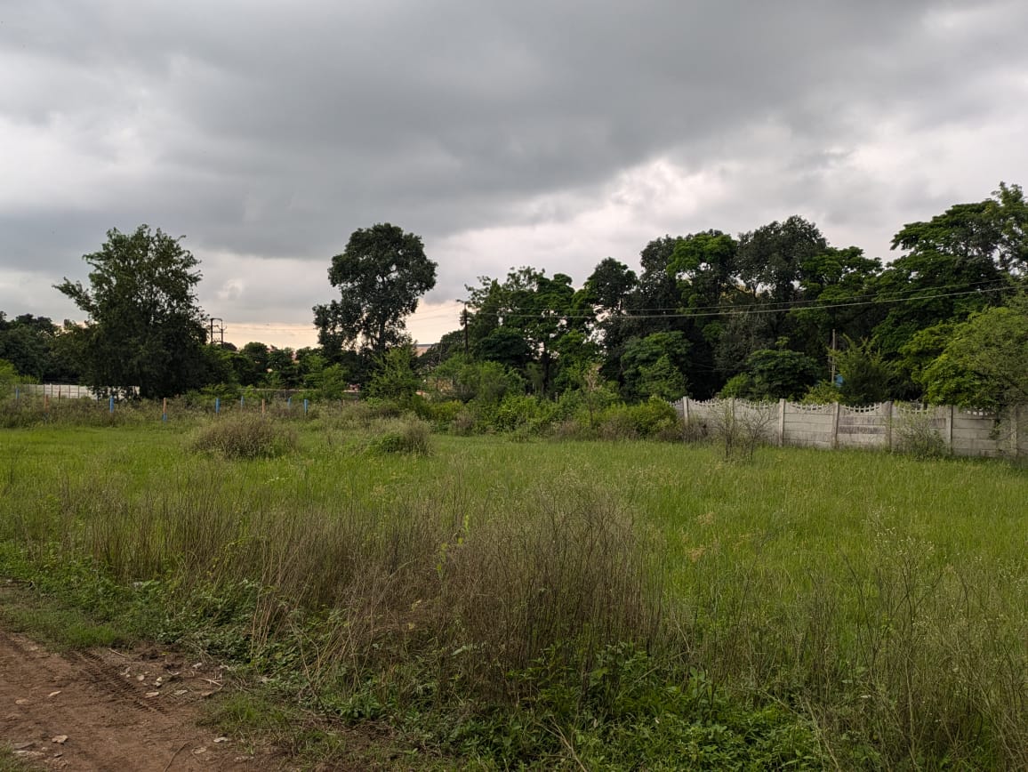Commercial Plot Commercial Space for rent Commercial Plot in Bhopal Commercial Properties in Bhopal