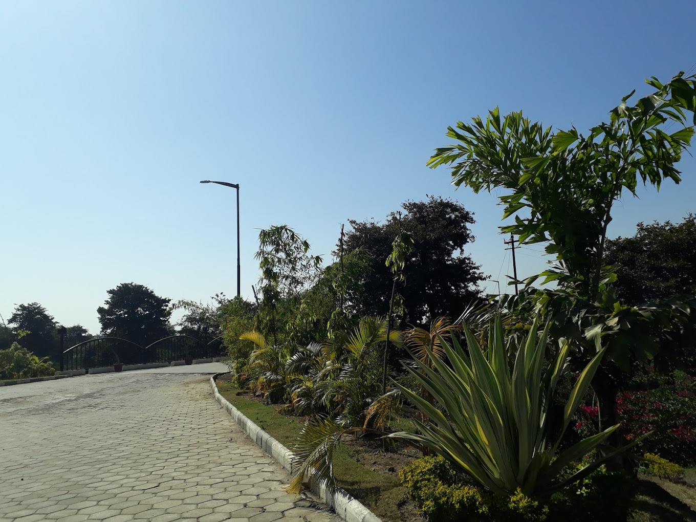 sell property in bhopal - The Company