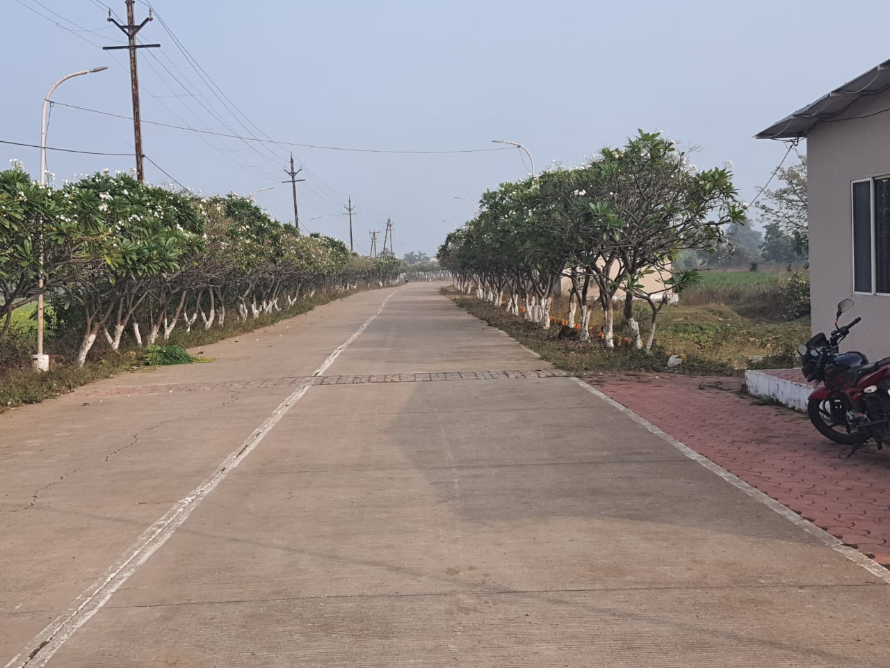 Properties in Bhopal - The Company