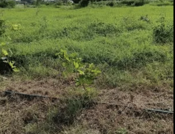Residential Plot for sale Properties for Sale in Bhopal Properties in Bhopal Bhopal Properties Bhopal Real Estate