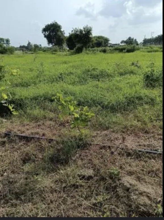 Residential Plot for sale Properties for Sale in Bhopal Properties in Bhopal Bhopal Properties Bhopal Real Estate