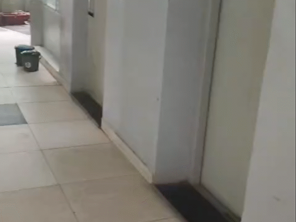 Flat for Sale in Bhopal Residential Properties in Bhopal Houses in Bhopal Resale Properties in Bhopal Purchase Properties in Bhopal Bhopal Real Estate